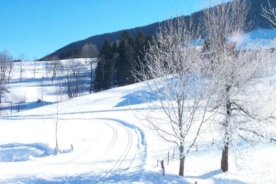 Ferienwohnung Allgaeuglueck Im Ferienpark Oberallgaeu Mit Hallenbad, Sauna, Wlan Миссен-Вильхамс Экстерьер фото